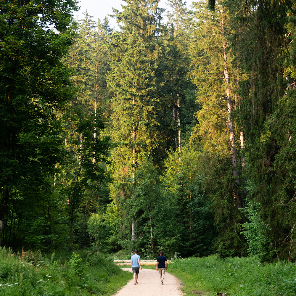 Twee wandelaars in het bos