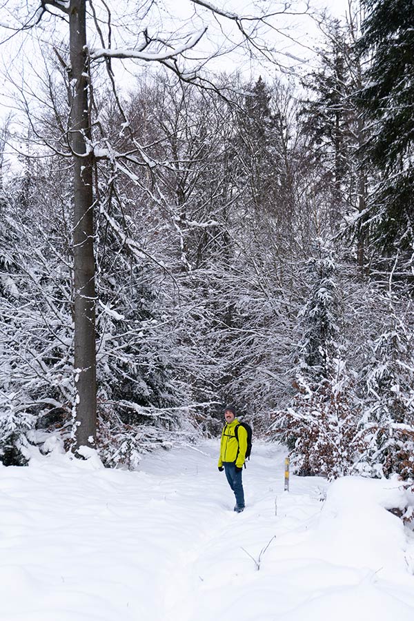 Wandelaar in winters bos